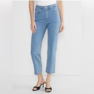 Aritzia Rowan Straight Blue Ankle Jean Pant 25W - excellent condition